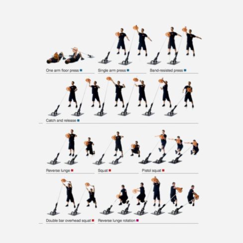 Torsonator™ Poster - Download