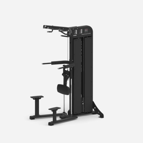 Chin-Up and Dip Assist