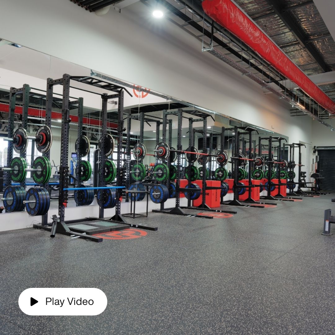 Assault Rack Pro with Shelving