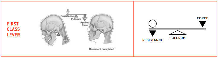 Mechanics of Lifting - Ebook