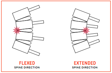 Mechanics of Lifting - Ebook