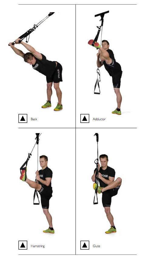 SuspensionTraining Manual - Ebook