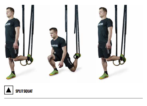 SuspensionTraining Manual - Ebook