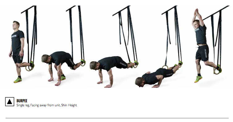 SuspensionTraining Manual - Ebook